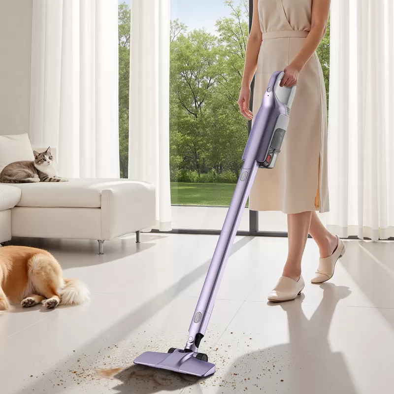 Highlights of DSV601 Stick Vacuum Cordless