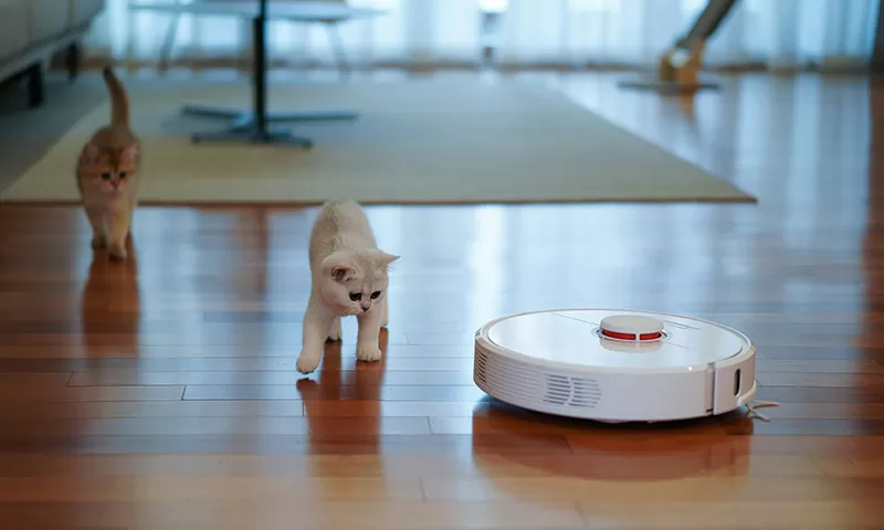 How Pet Owners Can Keep Their Homes Fur-Free with the Right Vacuum